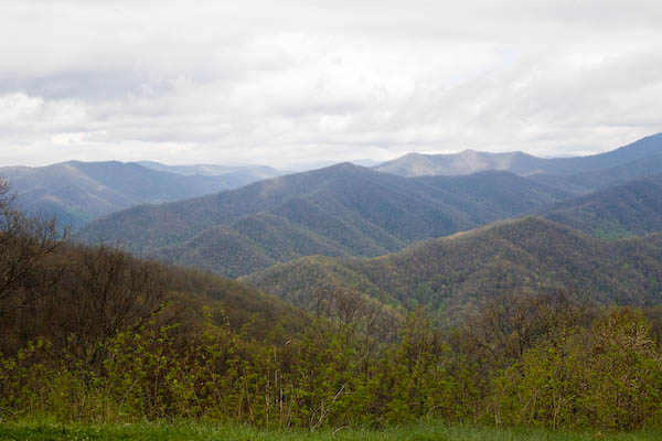 _MG_9097.jpg