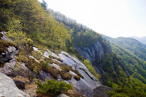 _MG_9126.jpg