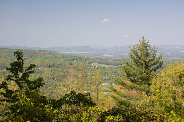 _MG_9263.jpg