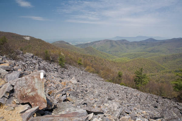 _MG_9276.jpg