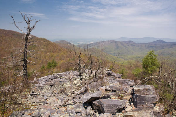 _MG_9279.jpg