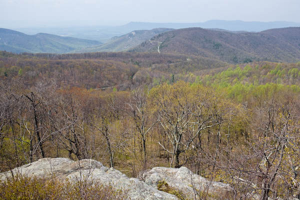 _MG_9292.jpg
