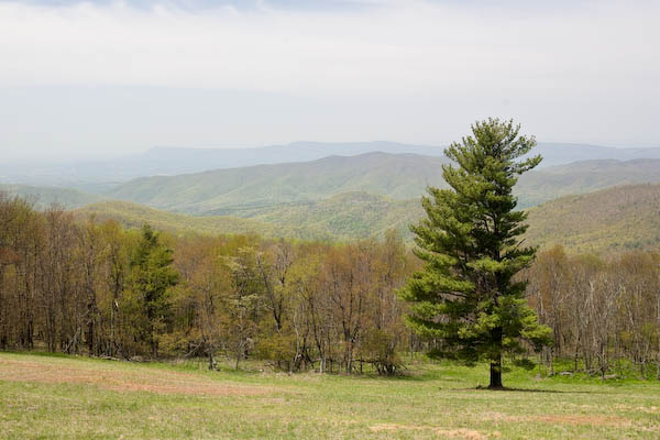 _MG_9298.jpg