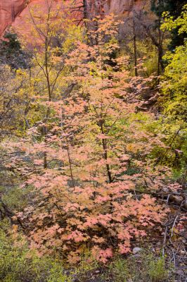 20071026-_MG_7776.jpg