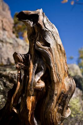 _MG_2464.jpg