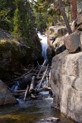 _MG_2524.jpg