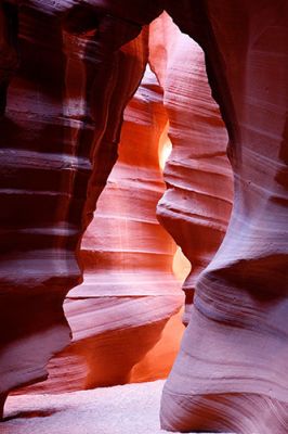 _MG_2676.jpg