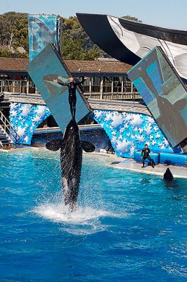 _MG_3450.jpg