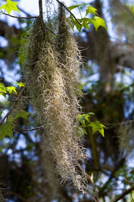 _MG_8696.jpg