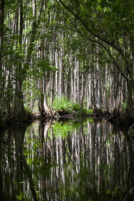 _MG_8864.jpg