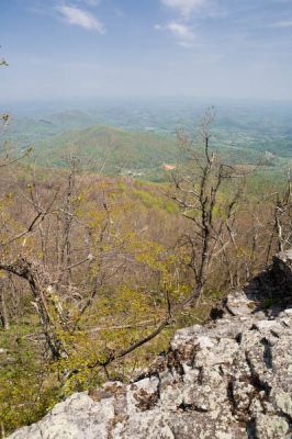 _MG_9289.jpg
