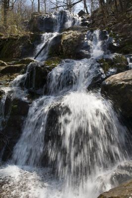 _MG_9317.jpg