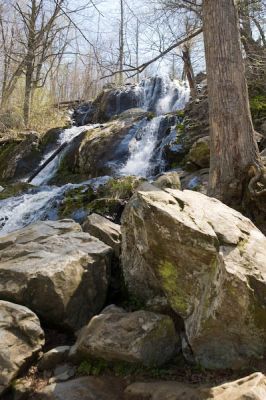_MG_9321.jpg