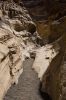 20070306-_MG_4351.jpg