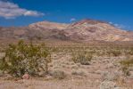 20071030-_MG_7919.jpg