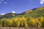 20080920-_MG_2210.jpg