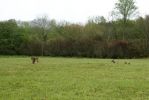 DSC00713.jpg