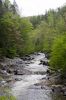 _MG_9079.jpg