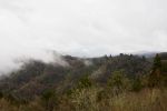 _MG_9080.jpg