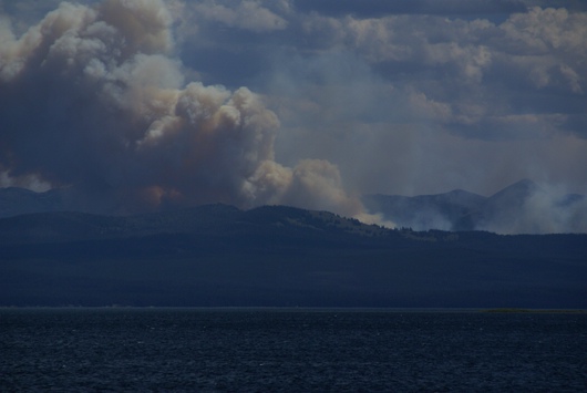 yellowstone - jaehrl. waldbraende
