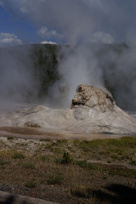 yellowstone - grotto geyser

