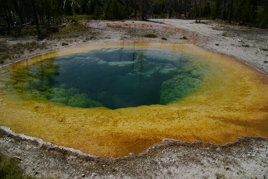 yellowstone - morning glory pool
