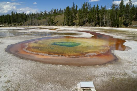 yellowstone pools II
