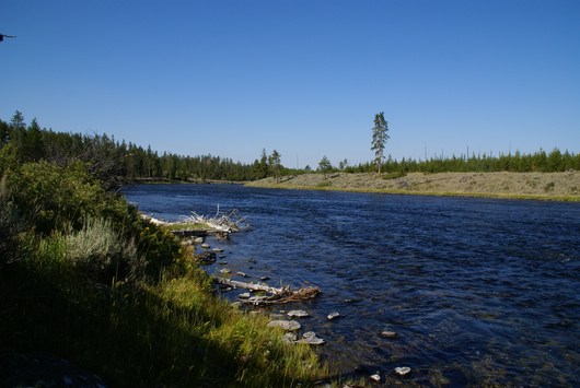 yellowstone - madison river
