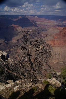 GC West Rim Drive
