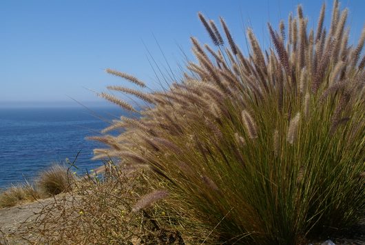 Hwy 1 - Morro Bay - L.A.
