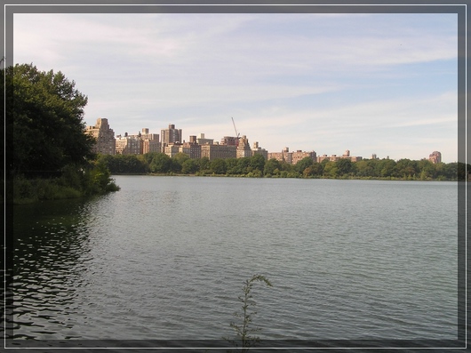 the reservoir at Central Park
