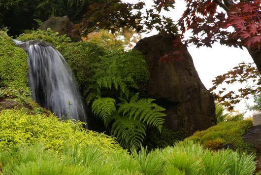 SFO - Japanese Tea Garden
