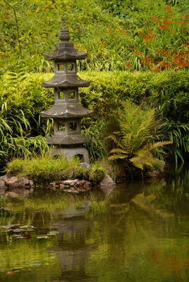 SFO - Japanese Tea Garden
