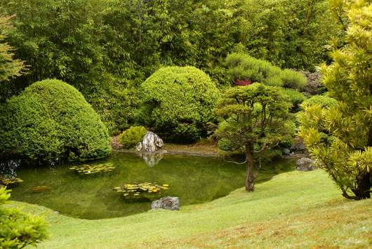 SFO - Japanese Tea Garden
