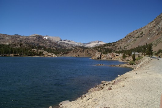 Tioga Road - Ellery Lake
