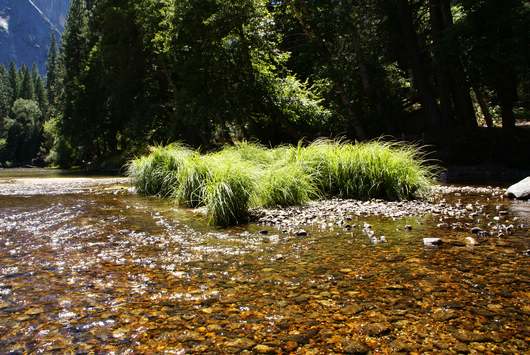 Yosemite im Merced River
