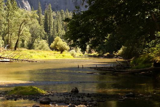 Yosemite am Merced River
