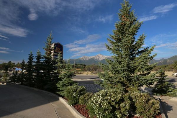 BW Vista Inn
