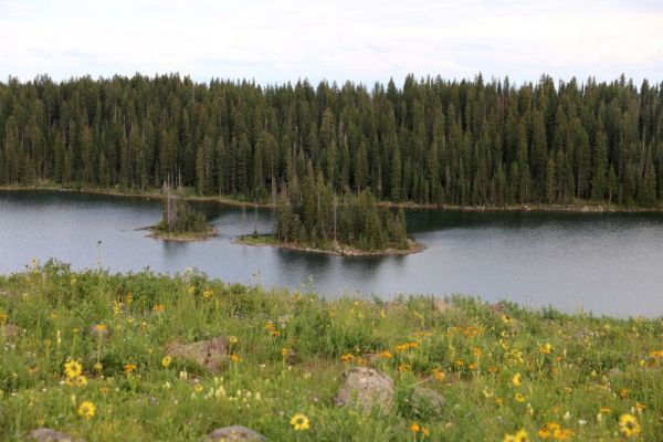 Grand Mesa
