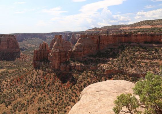 Colorado N.M.
