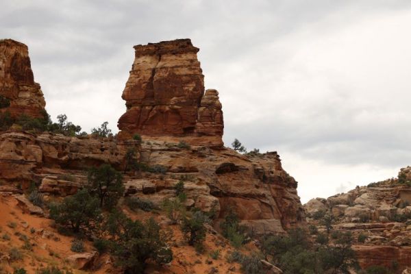 Capitol Reef N.P.
