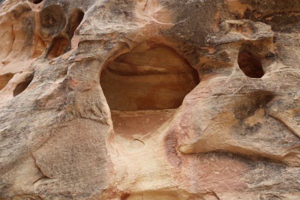 Capitol Reef N.P.
