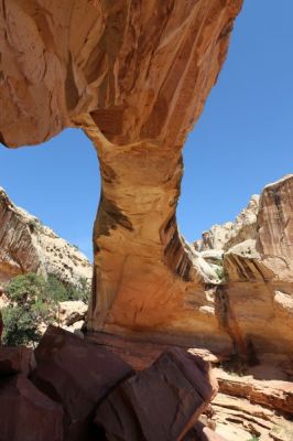 Capitol Reef N.P.

