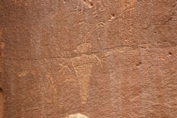 Capitol Reef N.P.
