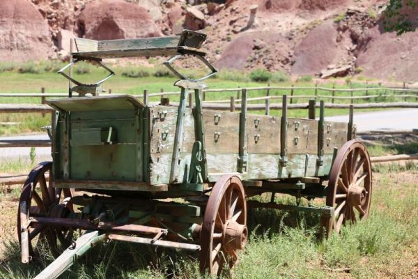 Capitol Reef N.P.
