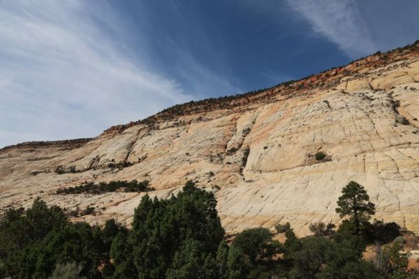 Burr Trail
