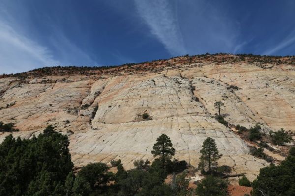 Burr Trail

