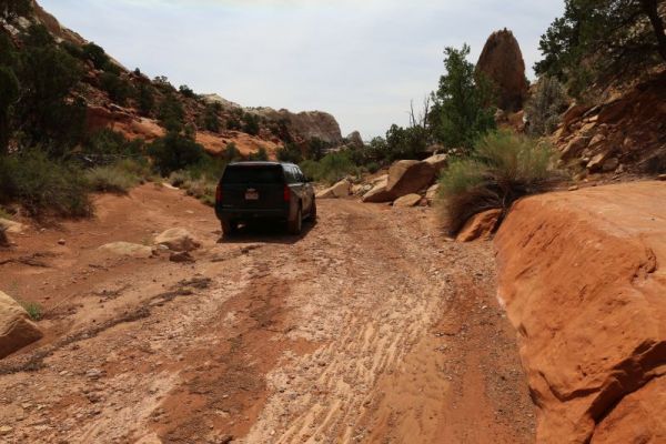 Upper Muley Twist Canyon
