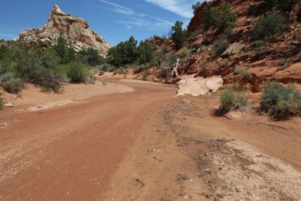Upper Muley Twist Canyon
