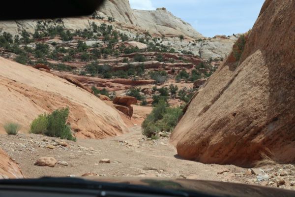 Upper Muley Twist Canyon
